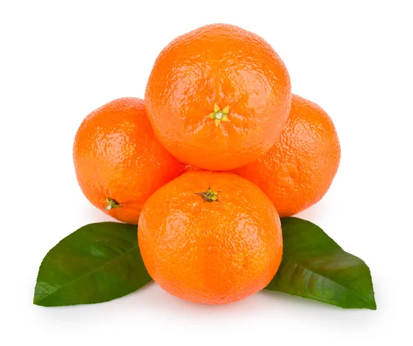 Tangerines mûres aux feuilles — Photo