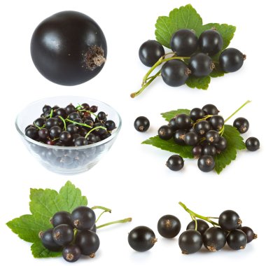 Set of black currant with green leaves clipart