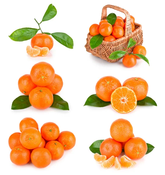 Ensemble de fruits de mandarine frais avec des feuilles — Photo
