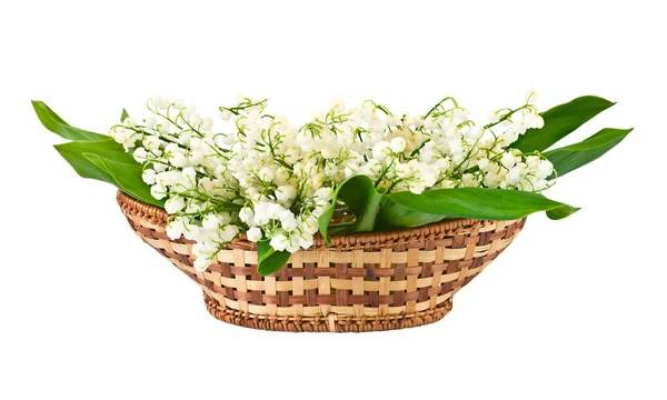 Bouquet of lilies of the valley in basket — Stock Photo, Image