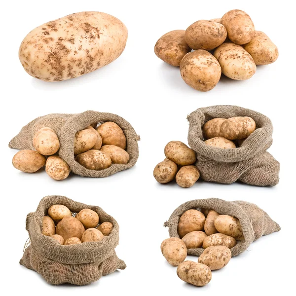 Set di patate mature da raccolto verdure in sacco di iuta — Foto Stock