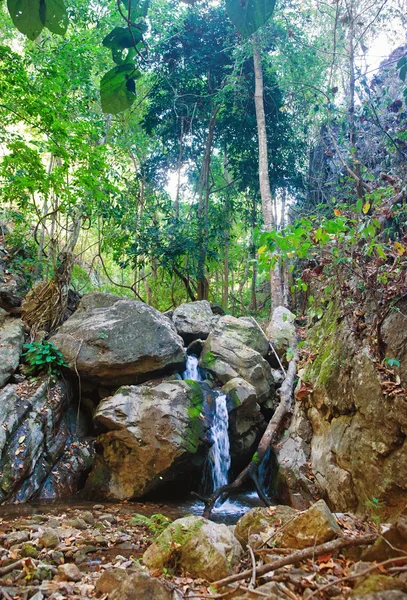 Small waterfall in stream — Stock Photo, Image