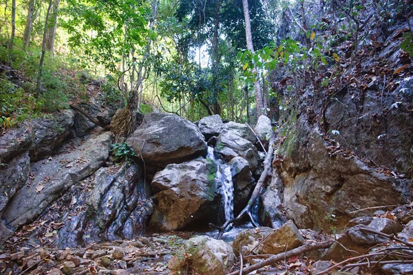 Pequena cachoeira no córrego — Fotografia de Stock