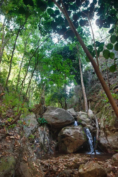 Piccola cascata nel torrente — Foto Stock