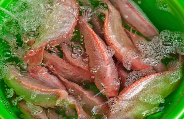 Свіжа риба на продаж — стокове фото