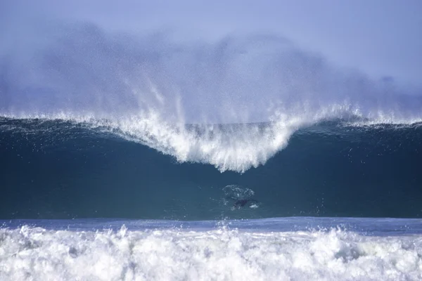 Grandi onde sulla spiaggia di bondi — Foto Stock