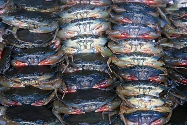 Massor av krabbor till salu — Stockfoto