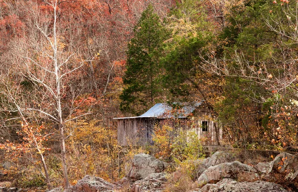 在森林里的老定居者小屋。 — 图库照片