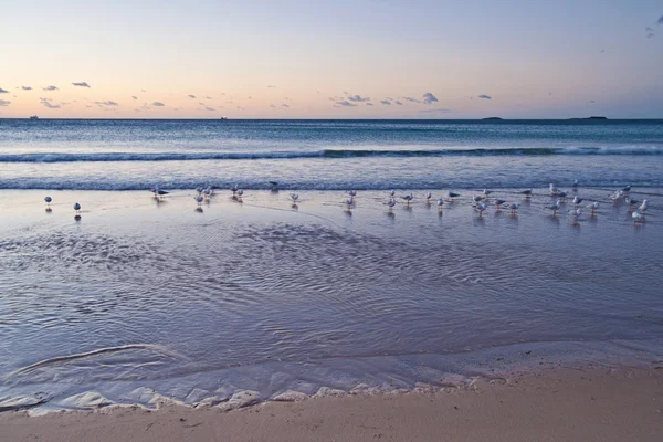 Мирною пляжною sunrise — стокове фото