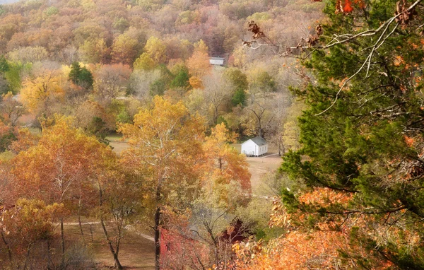 stock image Ozarks forest in fall