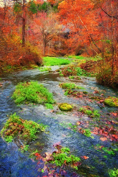 Autumn spring in missouri — Stock Photo, Image