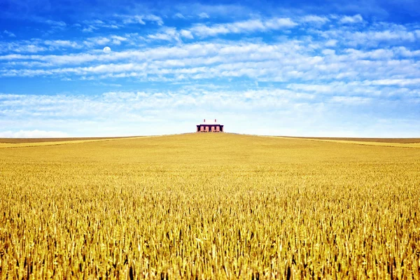 Old house in the field of wheat — Stock Photo, Image