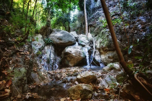 Small waterfall in stream — Stock Photo, Image