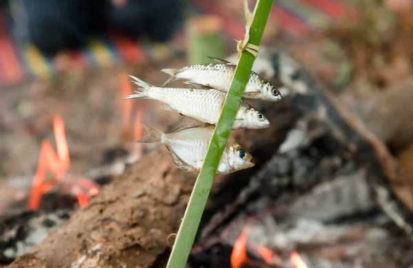 Маленькая рыбка готовит над огнем — стоковое фото