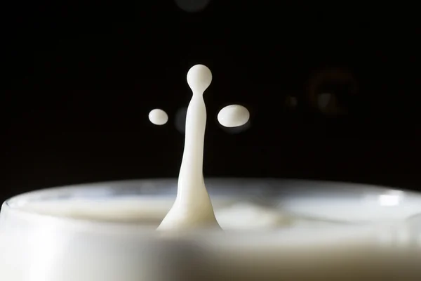 Splash de leite. — Fotografia de Stock