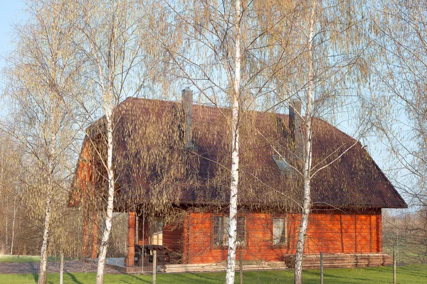 Birches and home. — Stock Photo, Image