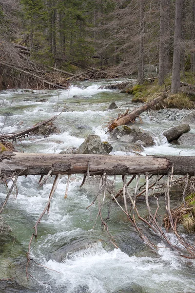 Řeka ve vysoké taras. — Stock fotografie