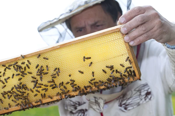 Μελισσοκόμος. — Φωτογραφία Αρχείου