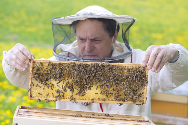 Beekeeper. — Stock Photo, Image