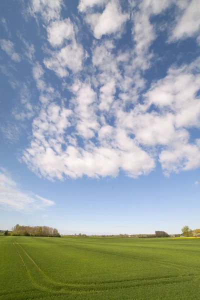 Campo e nuvole . — Foto Stock