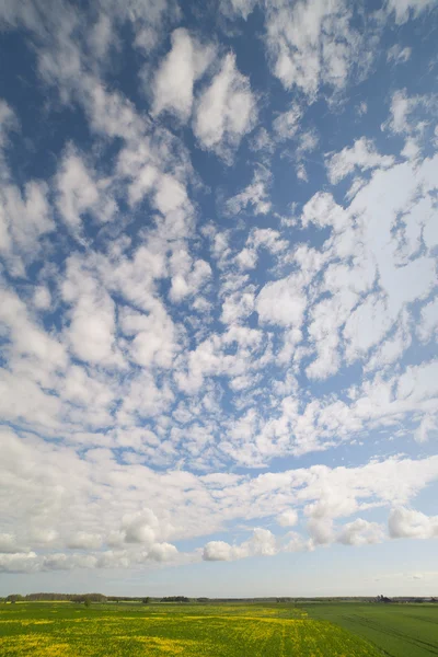 Veld en wolken. — Stockfoto