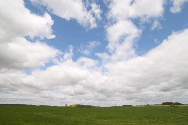 雲と土地. — ストック写真