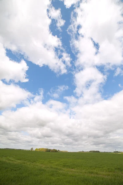Облака и земля. — стоковое фото