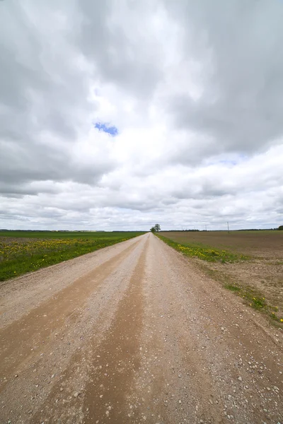 Camino rural . — Foto de Stock