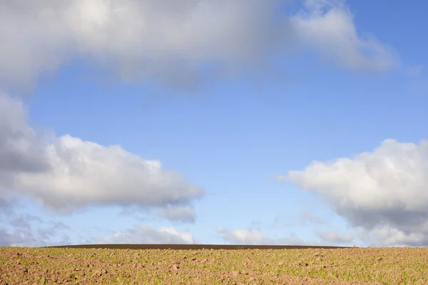 Keimung. — Stockfoto