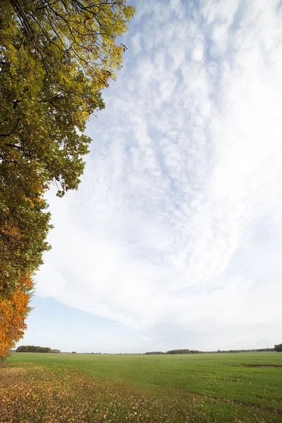 Осень . — стоковое фото