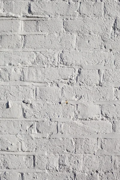 Ściana z białej cegły. — Zdjęcie stockowe
