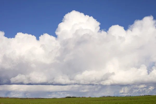 Nubes. — Foto de Stock