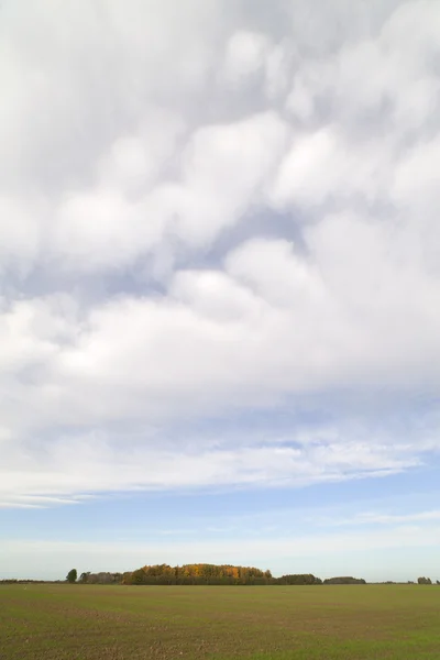 Поле и небо . — стоковое фото