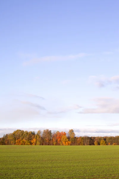 Feld im Herbst. — Stockfoto