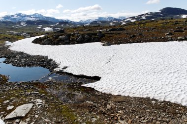 Norwegian mountains. clipart