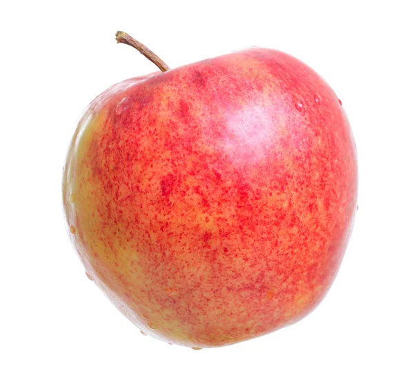 Jabłko izolowane na białym. — Zdjęcie stockowe