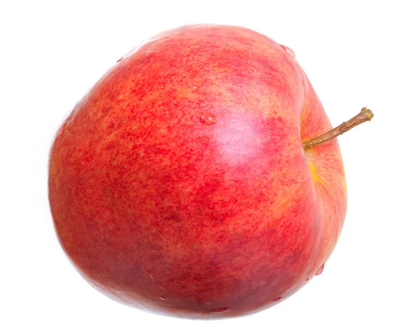 Fehér alapon izolált alma. — Stock Fotó
