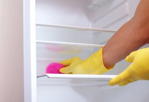 Hand rengöring kylskåp. — Stockfoto