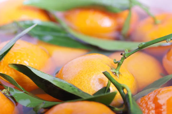 Mandarinas . —  Fotos de Stock