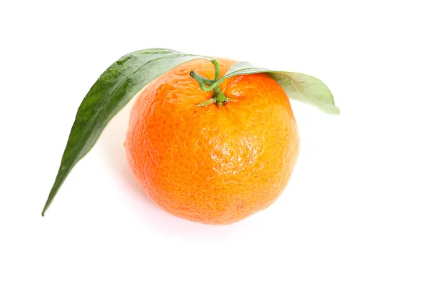 Mandarina . —  Fotos de Stock