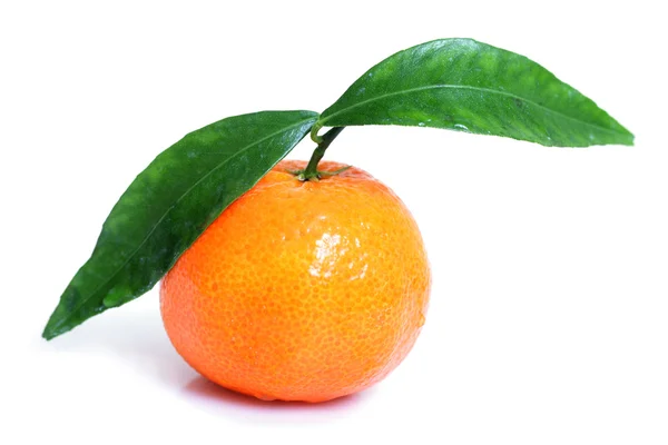 Mandarin. — Stock Fotó