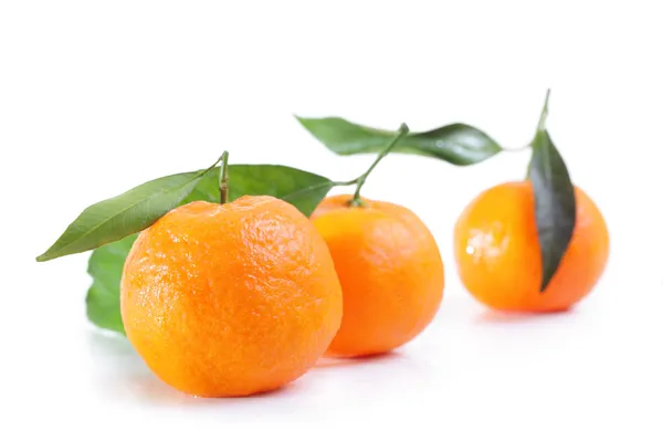 stock image Mandarins.