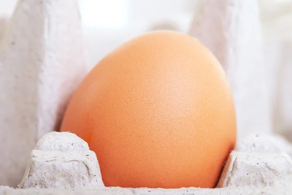Jajko w polu. — Zdjęcie stockowe