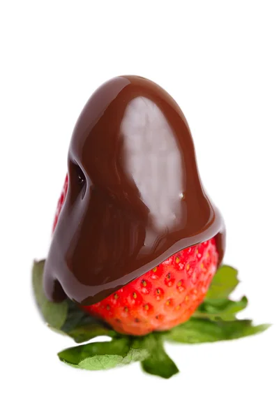 stock image Chocolate strawberry.