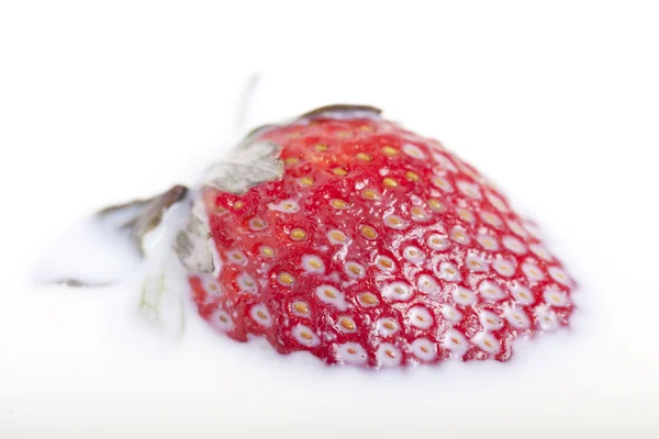 Erdbeere in Milch. — Stockfoto