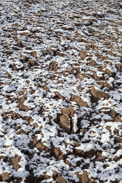 Снег на поле . — стоковое фото