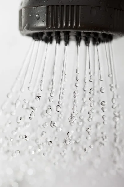 Duş headd — Stok fotoğraf