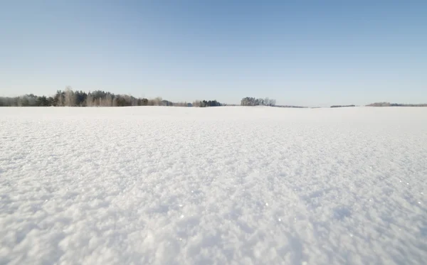 Zimní krajina. — Stock fotografie