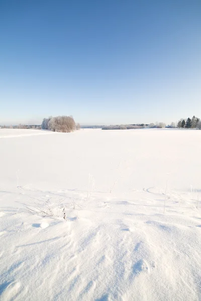 Winterlandschaft. — Stockfoto
