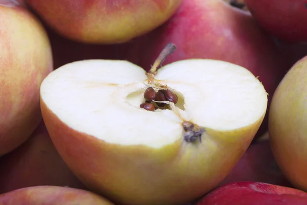 Manzanas. — Foto de Stock